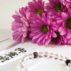 小さな家族葬サロン イノリエ | 江東区の葬儀・家族葬式場 | 人形供養祭開催のお知らせ【2025年6月22日(日)】