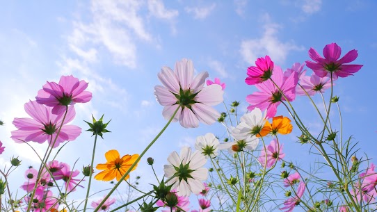 小さな家族葬サロン イノリエ | 江東区の葬儀・家族葬式場 | 江東区で家族葬をご検討の方へ｜参列者の判断基準や気になるマナーとは？