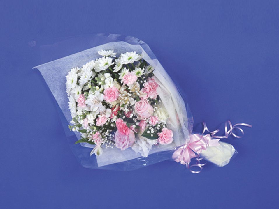 小さな家族葬サロンイノリエ | 火葬式プラン