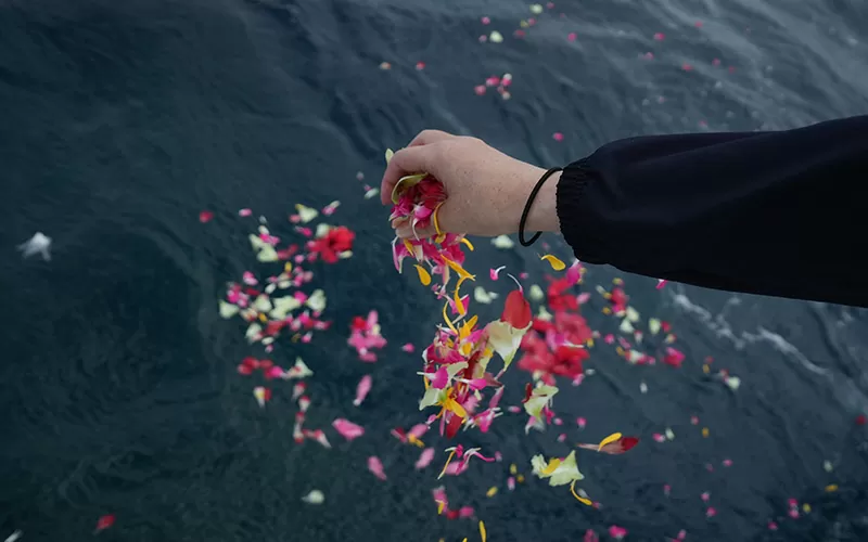 海洋散骨で海に手向けられた色とりどりの花びら